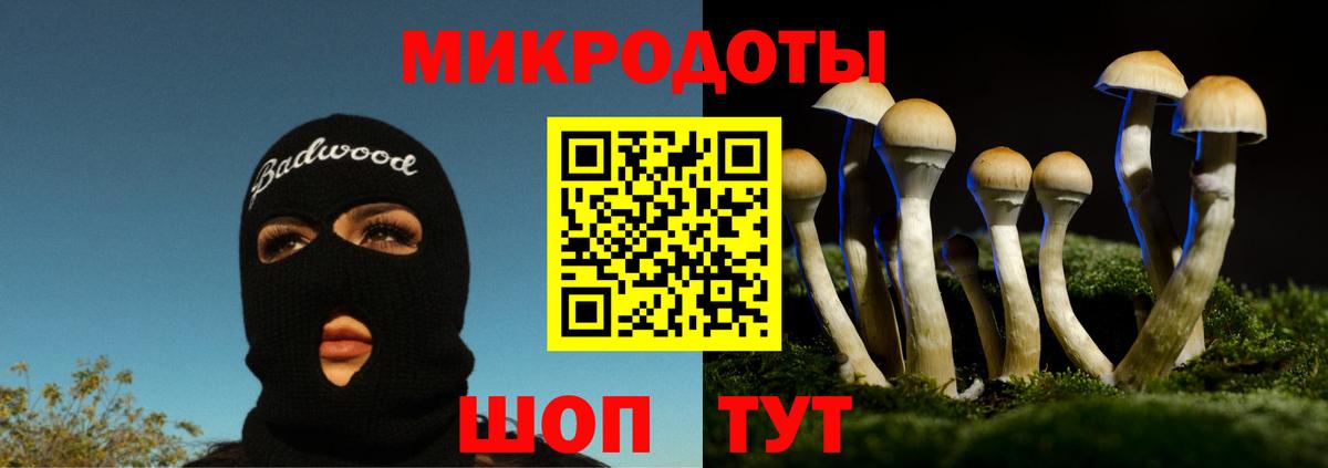 Балтийск  Галлюциногенные грибы Psilocybe  Вход с VPN  Галлюциногенные грибы GOLDEN TEACHER 
